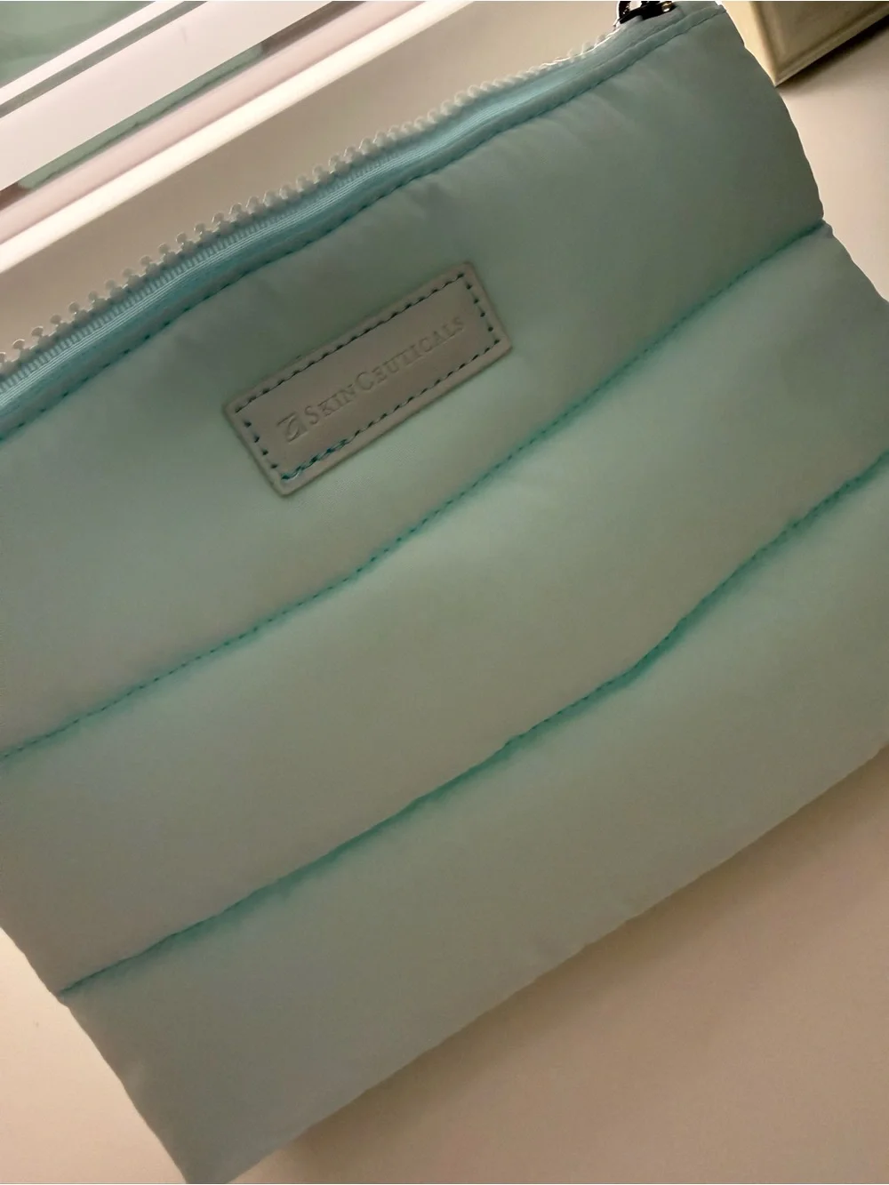 Skin Ceuticals Padded Light Aqua Cosmetic Pouch - Women Bags